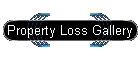 Property Loss Gallery