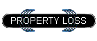 PROPERTY LOSS
