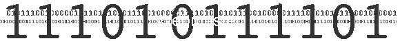 Webmaster